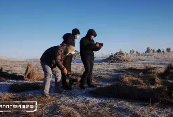 呼倫貝爾大草原VS南方以南濱海公園